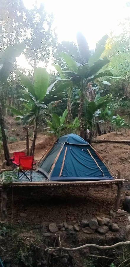Eastdee Camping Ground Lidlidda Luaran gambar